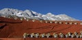 Performers at Impression Lijiang