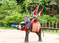 Performing a show of Elephants and Thai warriors