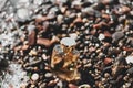 Perfume on background of small sea stones