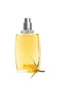 Perfume in beautiful bottle and yellow rose