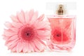 Perfume bottle Royalty Free Stock Photo