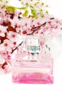 Perfume bottle with cherry blossom background. Royalty Free Stock Photo