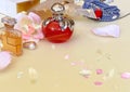 Perfume bottle collection red and yellow with flowers petal on white background Royalty Free Stock Photo