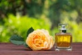 A perfume bottle and a fragrant yellow rose. Natural perfume in a square bottle on a green blurred background. Royalty Free Stock Photo