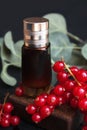 Perfume bottle with golden cap and bunch of fresh red currant