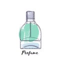Perfume bottle hand drawn painted vector illustration. Eau de parfum.