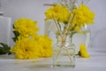 Perfume bottle for apartment flower, orange wellness essence Royalty Free Stock Photo