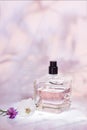 Perfume bottle with plants on a light pink floral background. Selective focus. Perfumery collection, cosmetics Royalty Free Stock Photo