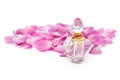 Perfume bottle with necklace among flower petals on white background. Perfumery, cosmetics, fragrance collection Royalty Free Stock Photo