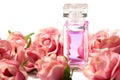 Perfume bottle in pink flower roses. Spring background with luxury aroma parfume. Beauty cosmetic shot Royalty Free Stock Photo