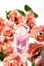 Perfume bottle in pink flower roses. Spring background with luxury aroma parfume. Beauty cosmetic shot Royalty Free Stock Photo