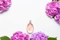 Perfume bottle and pink hydrangea flowers on light gray background top view Flat lay copy space. Perfumery, cosmetics, female Royalty Free Stock Photo