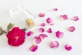 Perfume bottle with rose flower and petals Royalty Free Stock Photo