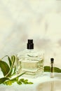 Perfume bottle and sampler with plants on a green natural background. Selective focus. Perfumery collection, cosmetics