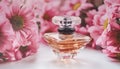 A perfume bottle surrounded by pink chrysanthemum flowers. Eau de toilette, eau de parfum, beauty concept Royalty Free Stock Photo