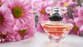 A perfume bottle surrounded by pink chrysanthemum flowers. Eau de toilette, eau de parfum, beauty concept Royalty Free Stock Photo