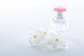 Perfume Bottle and White Narcissus Flowers Royalty Free Stock Photo