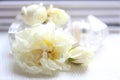 Perfume bottle, white roses and magazine Royalty Free Stock Photo