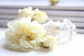 Perfume bottle, white roses and magazine Royalty Free Stock Photo