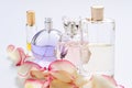 Perfume bottles with flower petals on light background. Perfumery, fragrance collection. Women accessories. Royalty Free Stock Photo