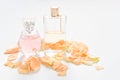 Perfume bottles with flower petals on light background. Perfumery, fragrance collection. Women accessories. Royalty Free Stock Photo