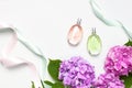 Perfume bottles, pink hydrangea flowers, holiday ribbons on light background top view Flat lay copy space. Perfumery, cosmetics, Royalty Free Stock Photo