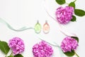 Perfume bottles, pink hydrangea flowers, holiday ribbons on light background top view Flat lay copy space. Perfumery, cosmetics, Royalty Free Stock Photo