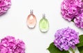 Perfume bottles and pink hydrangea flowers on light gray background top view Flat lay copy space. Perfumery, cosmetics, female Royalty Free Stock Photo