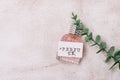 Perfume Bottles with Tropical Leaf on Gray Concrete Background Still Life Beauty Concept Top View Royalty Free Stock Photo