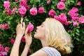 Perfume and cosmetics. Woman in front of blooming roses bush. Blossom of wild roses. Secret garden concept. Aroma of Royalty Free Stock Photo