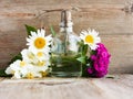 Spa perfume essential aroma oil glass bottle with flower blossoms on old wooden background Royalty Free Stock Photo