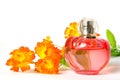 Perfume and flower isolated Royalty Free Stock Photo