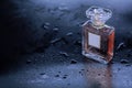 Wet Perfume on gray wet background Royalty Free Stock Photo