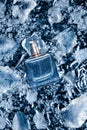 Perfume with ice snow background