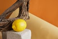 perfume with lemon scent concept, lemon with a spray of perfume on a concrete podium Royalty Free Stock Photo