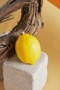 perfume with lemon scent concept, lemon with a spray of perfume on a concrete podium Royalty Free Stock Photo