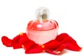 Perfume and petal rose Royalty Free Stock Photo