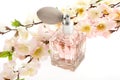 Perfume, pink bottle with cherry blossoms Royalty Free Stock Photo
