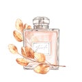 Perfume pink bottle with floral branch. Illustration on white background.