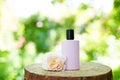 Perfume pink bottle on natural background, copy space, mock-up