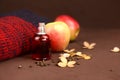 Perfume spray red bottle, red knitted sweater, apples and dry hydrangea flowers on brown background. Cozy atmosphere, front view,