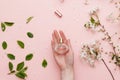 Perfume water in woman hand with spring blossom. Top view on pink isolated background, flatlay.