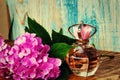 Perfumes and hydrangea on a blue wooden background