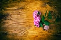 Perfumes and hydrangea wooden background