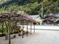 Pergola with blooming wisterias in a Japanese temple