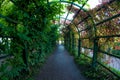 Pergola or flower tunnel arch overgrown with green plants in a romantic summer garden Royalty Free Stock Photo