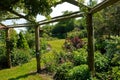 Pergola gazebo in a beautiful garden Royalty Free Stock Photo