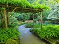 Pergola over the garden walkway Royalty Free Stock Photo