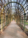 Pergola in the Summer Garden