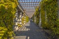 Pergola in Wroclaw, Poland